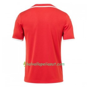 Jalkapallo Pelipaidat Tunisia World Cup 2018 Vieraspaita